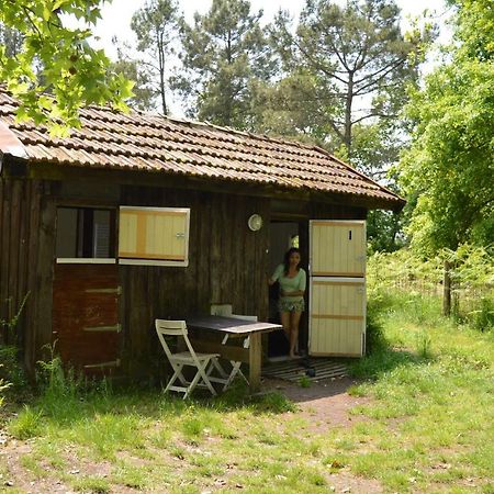 Cabane En Foret Onesse-et-Laharie Екстериор снимка