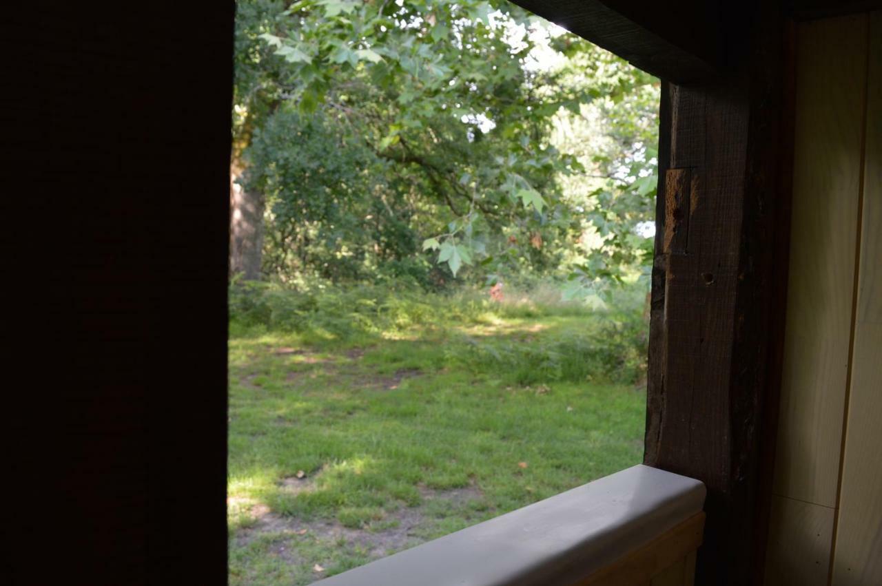 Cabane En Foret Onesse-et-Laharie Екстериор снимка