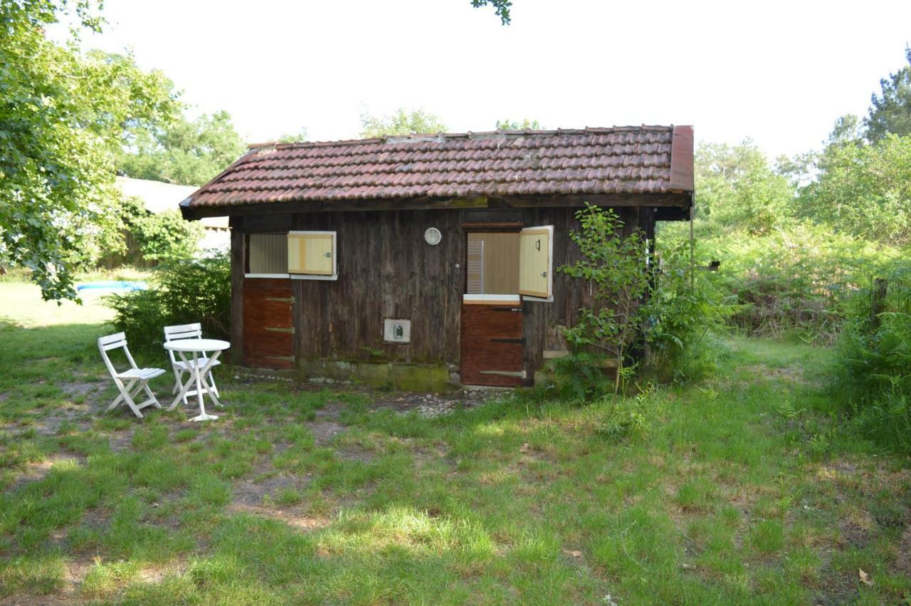 Cabane En Foret Onesse-et-Laharie Екстериор снимка