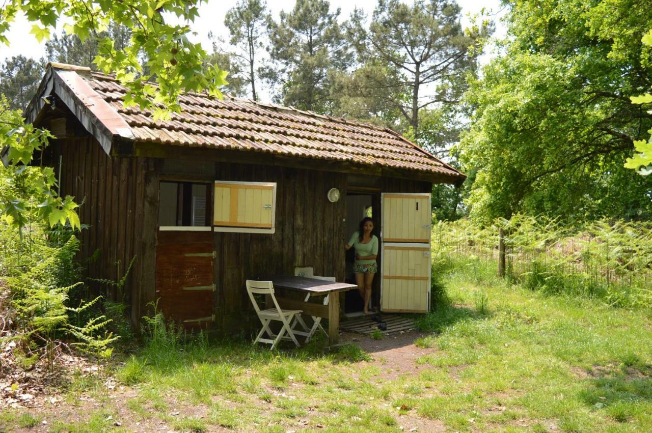 Cabane En Foret Onesse-et-Laharie Екстериор снимка