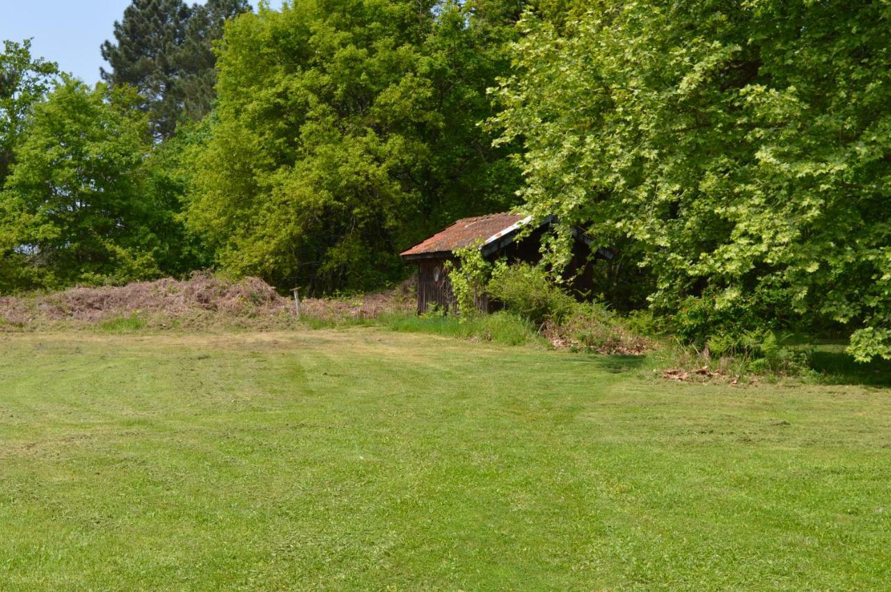 Cabane En Foret Onesse-et-Laharie Екстериор снимка