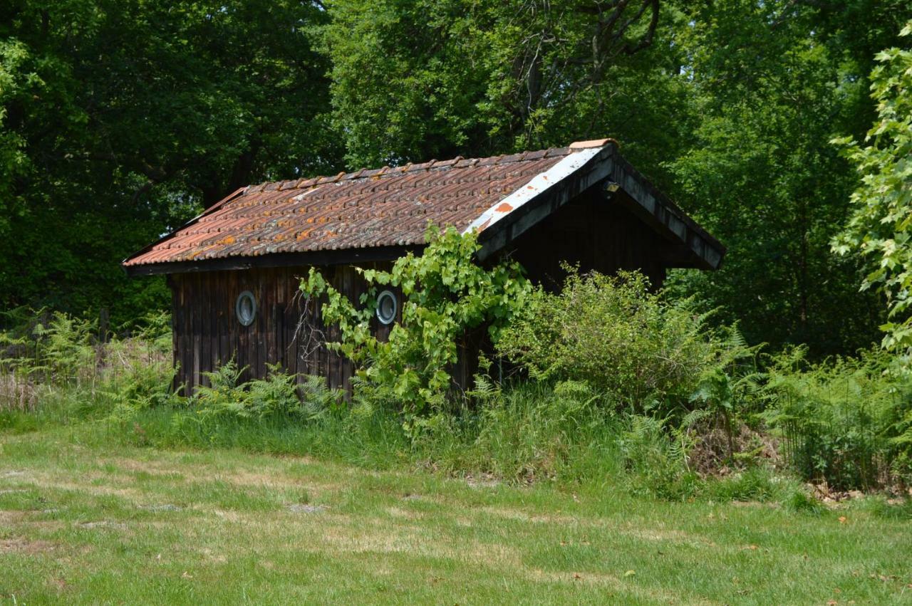 Cabane En Foret Onesse-et-Laharie Екстериор снимка